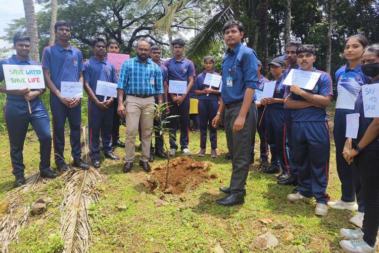 Tree Plantation Drive